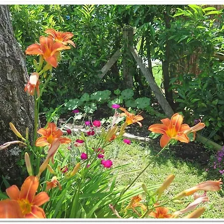 De Charme 4*, 4 Ch Bassin D'arcachon 12 Pers Villa *